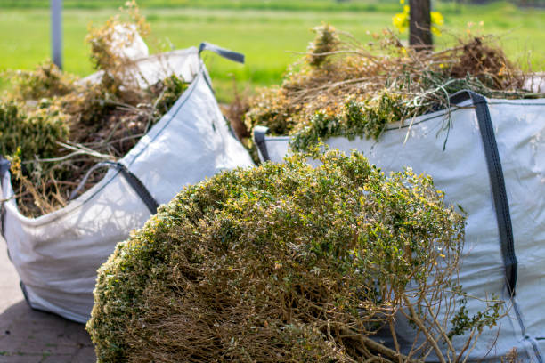 Best Same-Day Junk Removal  in University Heights, IA