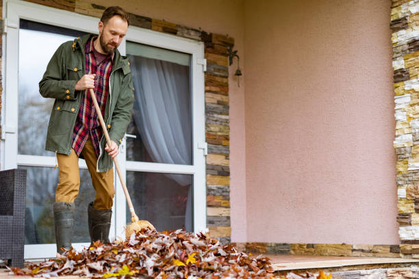 Best Dumpster Rental Services  in University Heights, IA